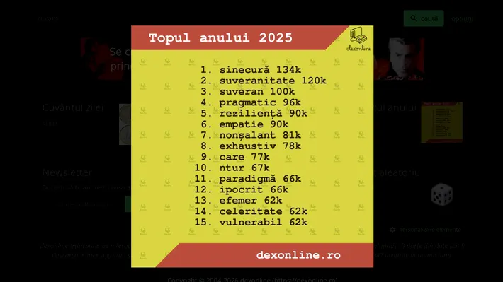 Ce cuvinte i-au pus pe gânduri pe români. „Sinecură” domină 2025