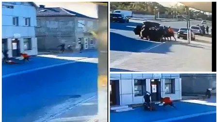 Samsarii de legume s-au luat la bătaie la Cogealac. Miza conflictului în urma căruia un bărbat a murit