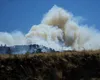 Incendiu de vegetație la Marsilia. MAE emite atenționare pentru cetățenii români