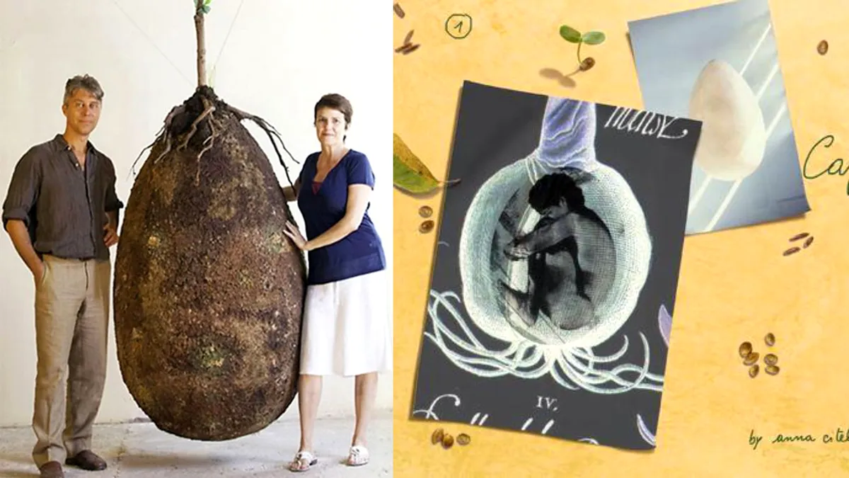 Adio înmormântare cu sicriu! Proiectul „Capsula Mundi” promite transformarea oamenilor în copaci după moarte