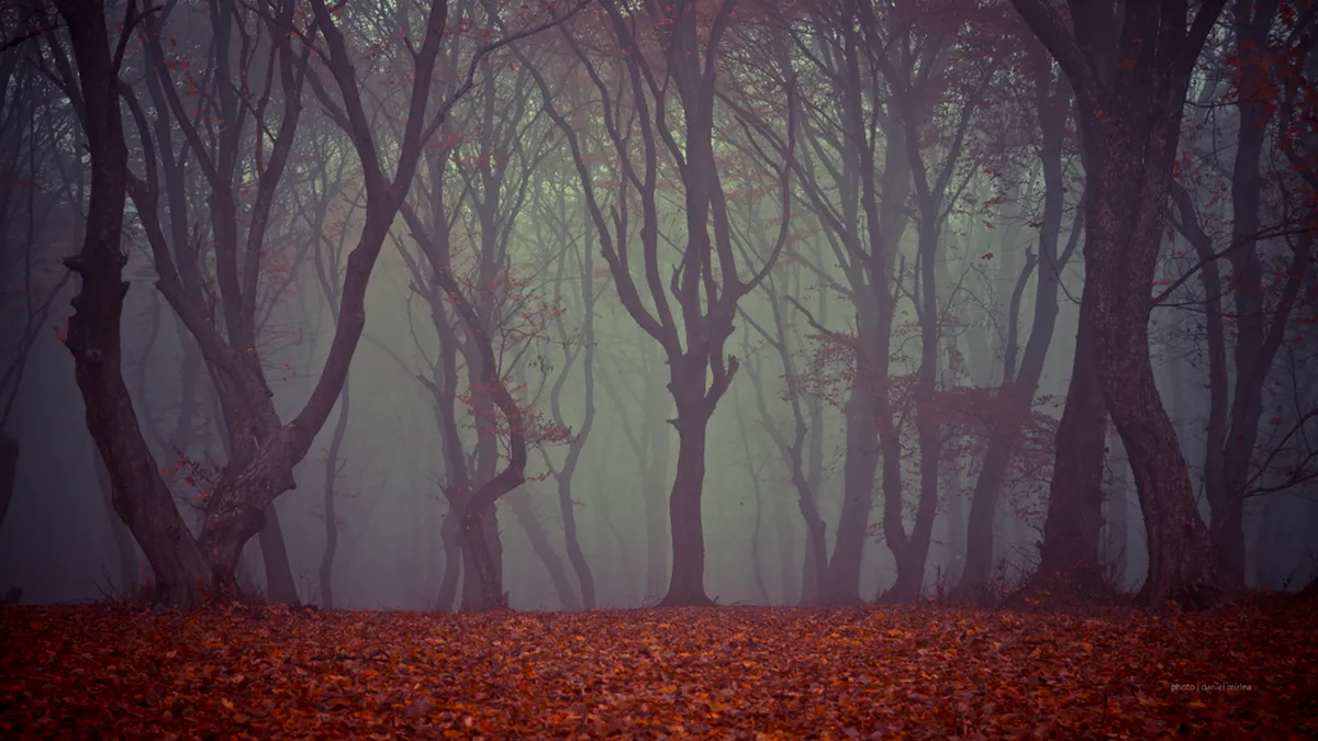 Pe unde ne așteaptă fantomele din România? Ghost-hunting de Halloween, pentru cei care doresc să „pipăie” misterele