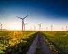 România reorganizează sistemul de colectare a datelor agricole: de la RICA la RDDA