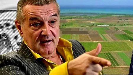 De la oi, la eoliene. Gigi Becali vrea să investească în producția de energie verde în Dobrogea