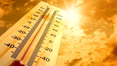 Noiembrie cu temperaturi de vară, în București