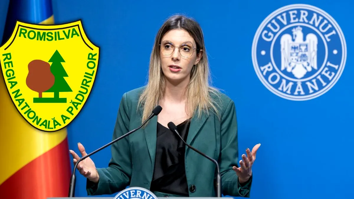 Diana Buzoianu a instaurat haosul și jaful în păduri și vrea să transforme Romsilva într-o tarla de cultivat pepeni și un centru de reciclare a deșeurilor