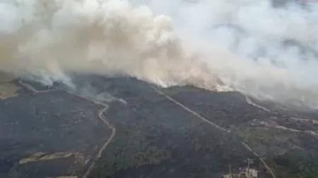 Incendii în Sardinia: Italia cere ajutorul țărilor vecine (Video)