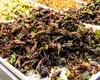 Alimentele pe bază de insecte, sănătoase sau nu?