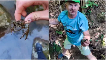 Racul din Munţii Apuseni. Descoperire făcută de un cercetător din Bihor