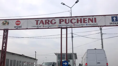 Prăpăd la Pucheni, după un control ANAF: Piața închisă trei zile, marfă stricată și prăbușirea prețului la roșii