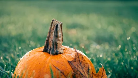 Focul lui Sumedru și Halloween-ul, interzise în acest județ