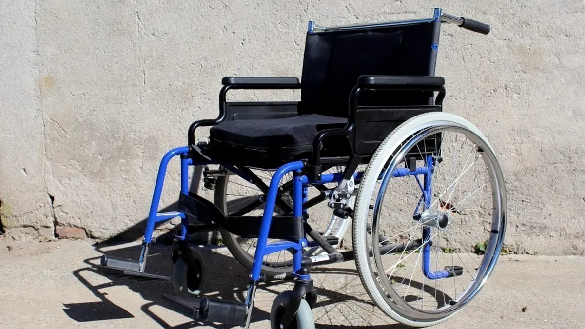 Proiect USR de modificarea a legii privind drepturile persoanelor cu dizabilități