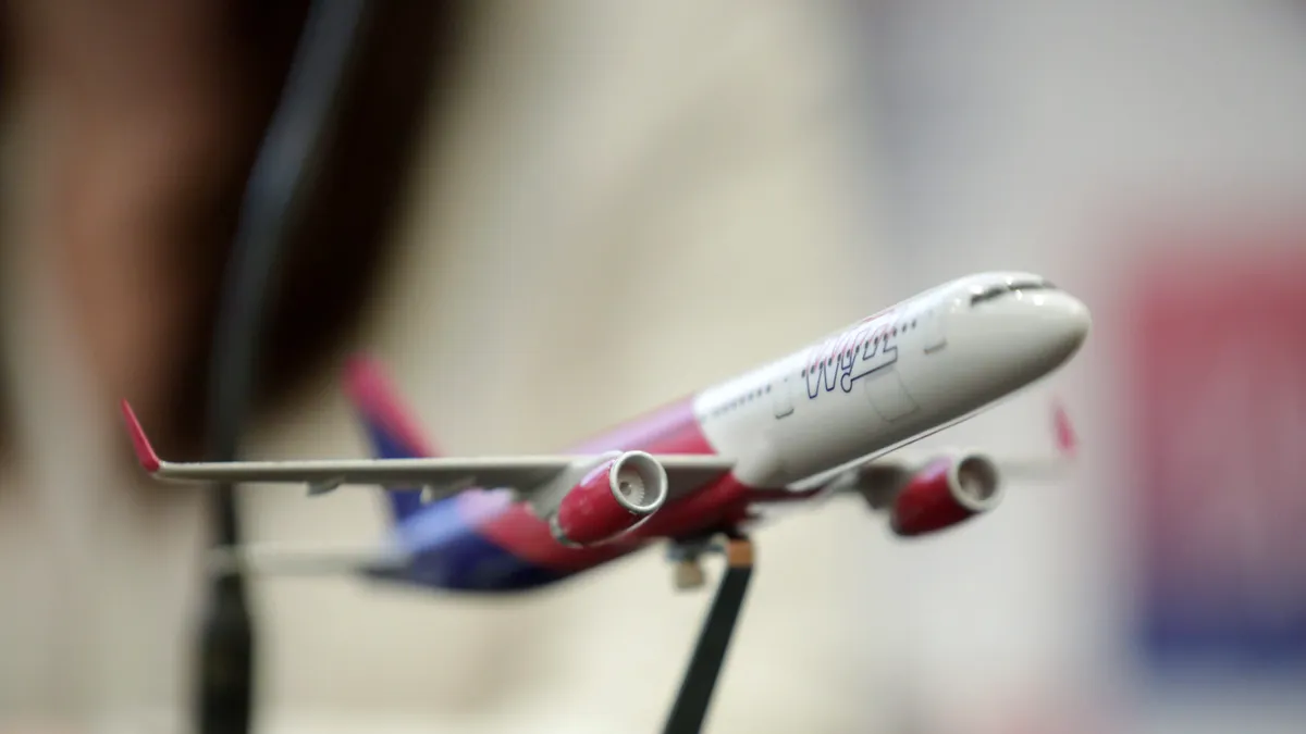 Ministrul Radu Oprea reclamă Wizz Air la Bruxelles