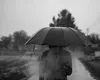 Prognoza meteo: Sfârșit de august mai rece, început de septembrie mai cald