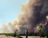 Peste 600 de pompieri se luptă cu incendiile de vegetație din Franța. Flăcările au cuprins Var și Corsica