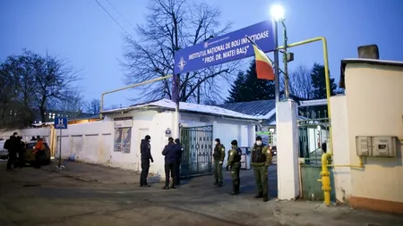 Bilanțul victimelor incendiului de la Institutul „Matei Balș” a ajuns la șase