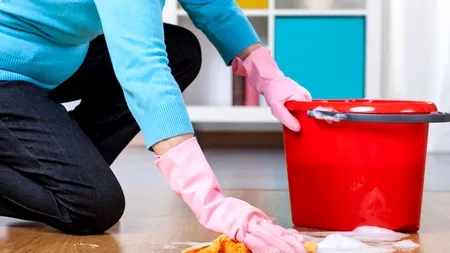 Decizie de Guvern: tichetele de activităţi casnice, valabile 12 luni