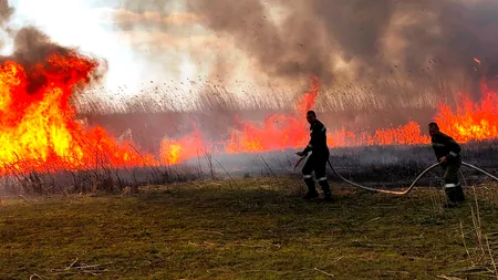 Incendiu puternic la Stănilești. Șase case salvate la limită!