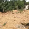 Descinderi la menajeria care furniza animale exotice pentru Dani Mocanu și Nuțu Cămătaru