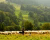 Persoană decedată găsită de un cioban, după 9 luni de căutări. Primele indicii duc la turistul britanic dispărut în viscol