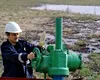 O conductă cu petrol s-a spart şi a provocat poluare într-un parc din Ploieşti (VIDEO)