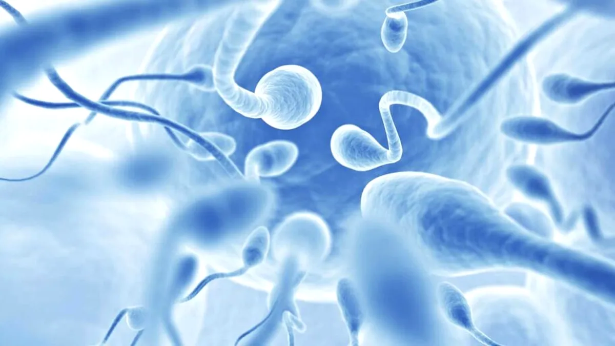 Un erbicid controversat descoperit în peste 55% dintre probele de spermă