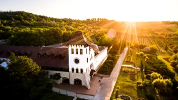Se vinde producătorul de vinuri Purcari. Va ajunge în portofoliul unor polonezi