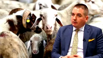 SCANDAL. România a exportat oi bolnave în Austria