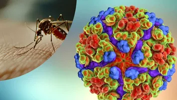China, în alertă: Un virus misterios transmis de țânțari se răspândește rapid. Măsuri de urgență în stil COVID-19
