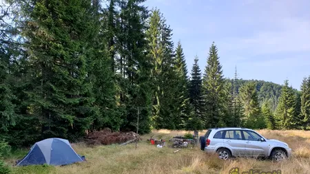 Virusul TBE. Cei mai expuși sunt turiștii cu corturi și rulote!