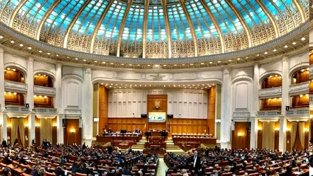 PFA-urile, întreprinderile individuale şi cele familiale vor putea fi transformate în societăţi cu personalitate juridică