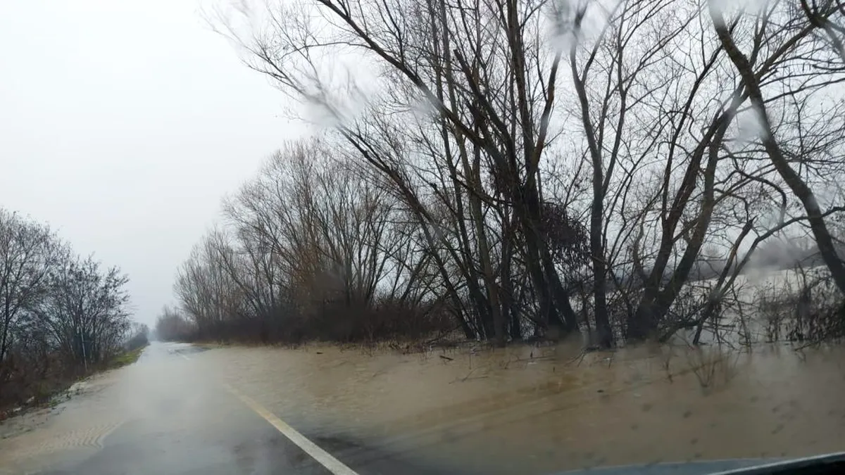 Arad: drum județean închis și sute de hectare inundate, după revărsarea Crișului Alb