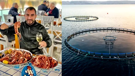 Ferme marine în Marea Neagră: Pescobar câștigă licitația. Cine sunt ceilalți investitori de top