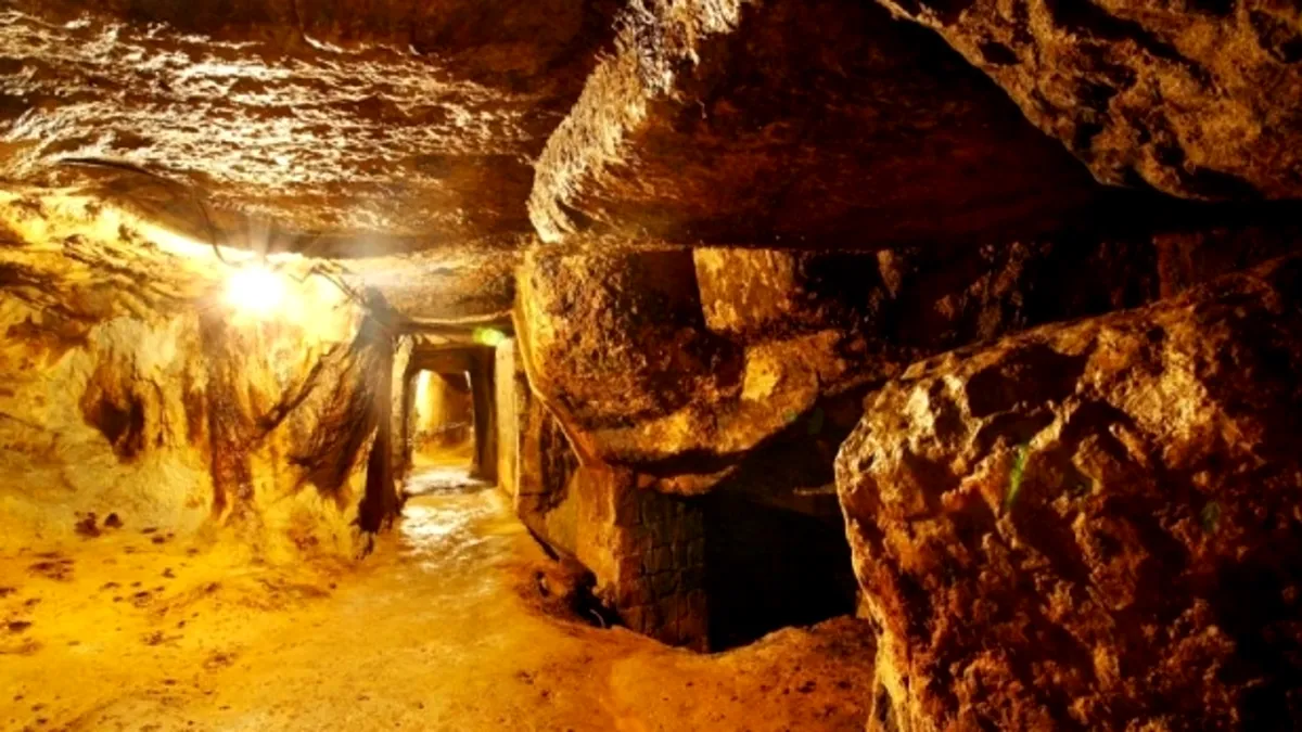 Șocant! Canadienii de la Gabriel Resources sunt...români! O firmă din România, acționar important la societatea care cere despăgubiri uriașe pentru Roșia Montană