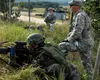 Proiect legislativ: Militarii și polițiștii nu mai au voie să facă acest lucru. Riscă până la 10 ani de închisoare