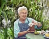 Crește în orice grădină și puțini știu că era remediul de bază al bunicilor. Planta folosită ca leac de generații întregi