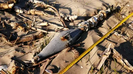 O grenadă neexplodată a fost detonată pe plaja de la Marea Neagră, lângă Sfântu Gheorghe