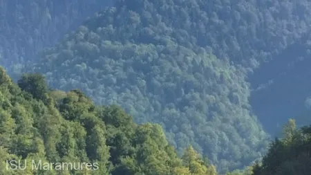 Incendiu de pădure în Munţii Maramureşului; Ministerul Apărării a trimis o aeronavă