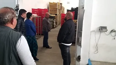 Casa de Comerț Unirea caută producători de fructe și legume, dar și depozite
