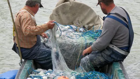 De ce riscă să-și piardă permisele pescarii comerciali autorizaţi din Delta Dunării