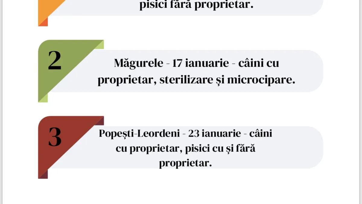 Sterilizare gratuită în Ilfov pentru cățeii și pisicii cu și fără stăpân; care este calendarul
