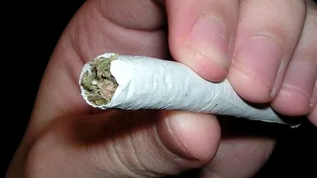 Canabisul le provoacă tinerilor leziuni grave ale creierului