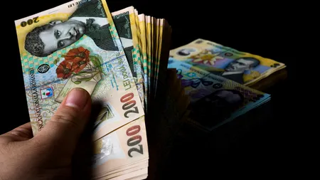 Ciobanii vor avea un salariu minim garantat de 4.000 de lei. Proiectul de lege a fost depus la Senat