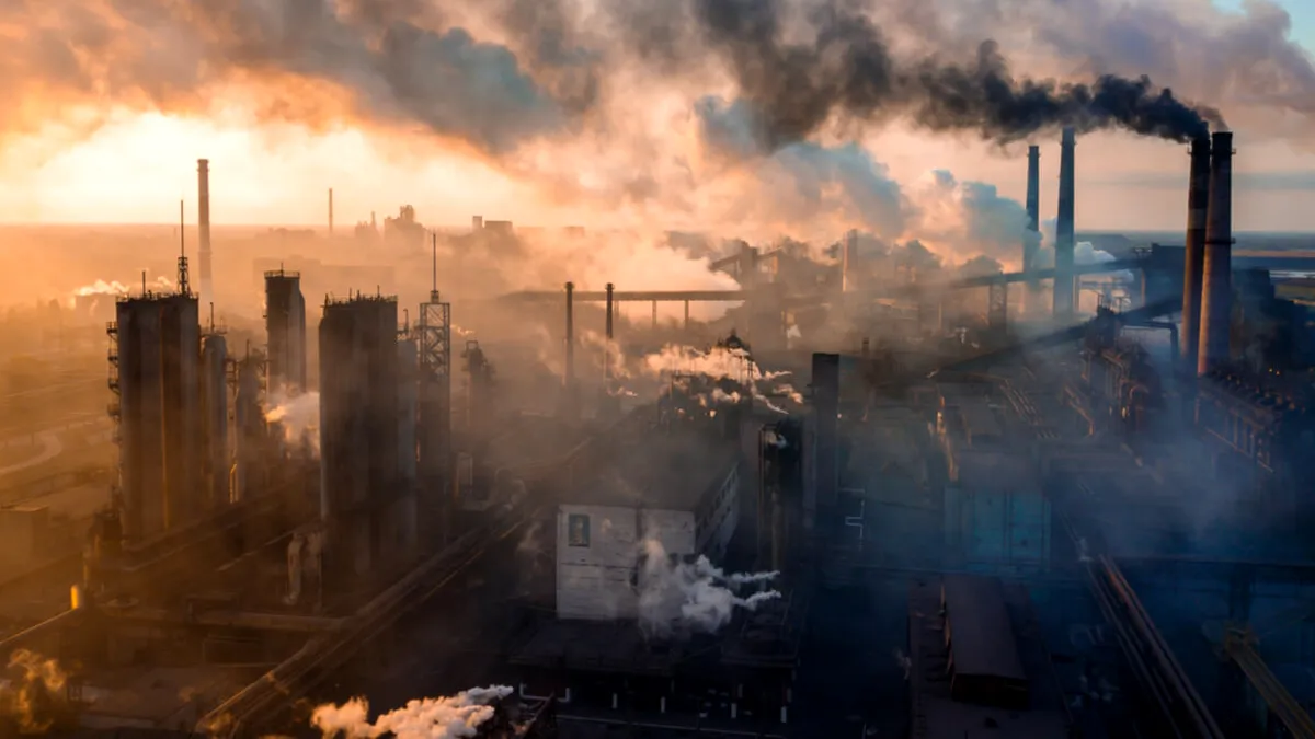 Sectorul industrial rămâne cel mai atractiv pentru investiții. Comerțul și imobiliarele în scădere