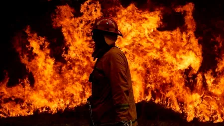 Incendii în Algeria: Peste 10.000 de hectare dintr-un parc naţional, distruse de flăcări