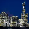 OMV în România: Profituri record pe cârca lui Bator, calul Fefeleagăi