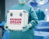 În Taiwan, o inimă care nu s-a oprit nicio secundă a fost transplantată cu succes pentru prima dată în lume