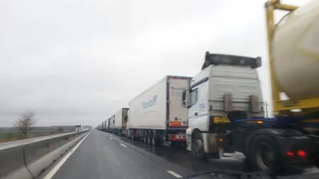 Ucraina taxează la greu legumele din România, în timp ce marfa lor circulă liber la noi