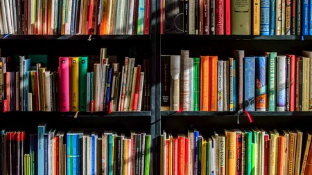 În Texas, sunt interzise 40 de cărți. Printre ele și Biblia