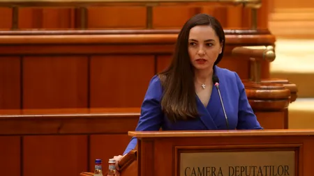 Gălăgie în Parlament: Gavrilă țipă, Predoiu ironizează, Șerban taie microfonul