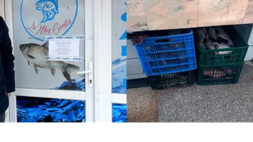 ANPC, controale-șoc în magazinele din România! Pește cu gândaci de Florii și amenzi de peste 1 milion de lei